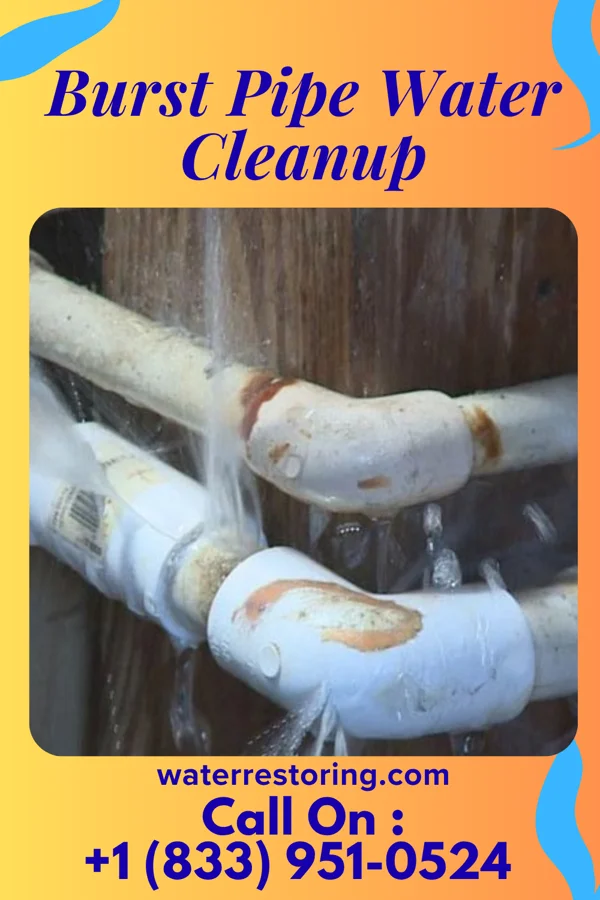 Burst Pipe Water Cleanup in Wrigley, TN