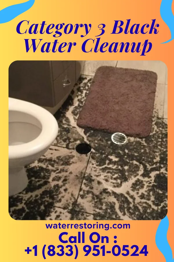 Category 3 Black Water Cleanup in Wrigley, TN