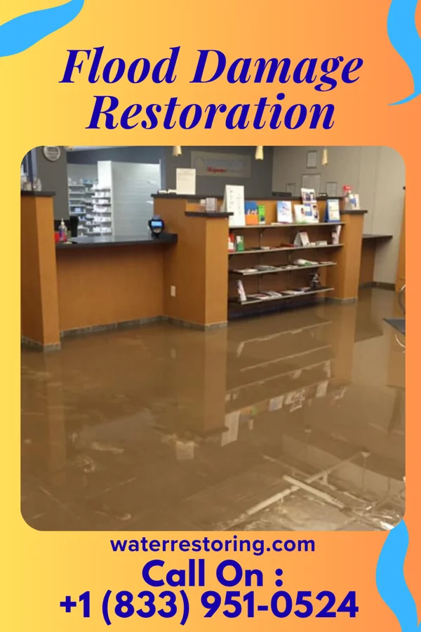 Flood Damage Restoration in Wrigley, TN