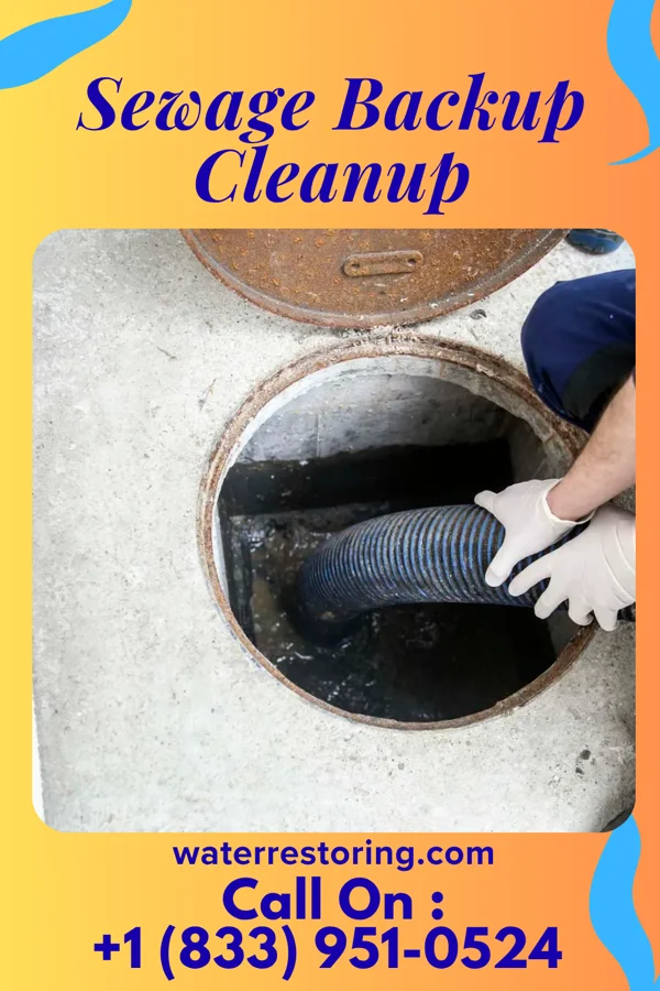 Sewage Backup Cleanup in Wrigley, TN