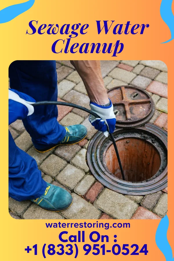 Sewage Water Cleanup in Wrigley, TN
