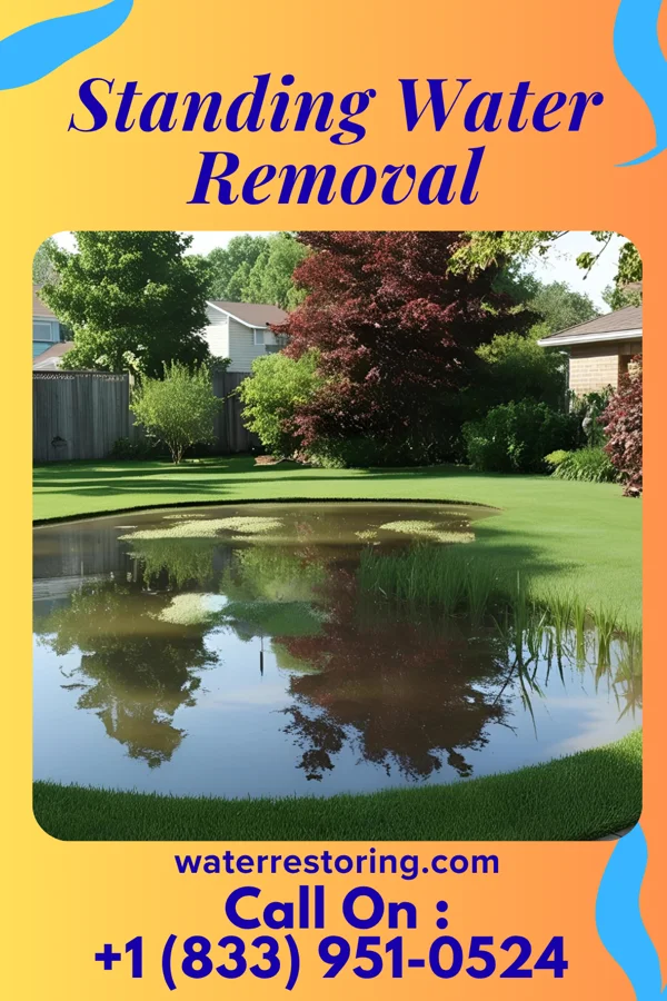 Standing Water Removal in Wrigley, TN